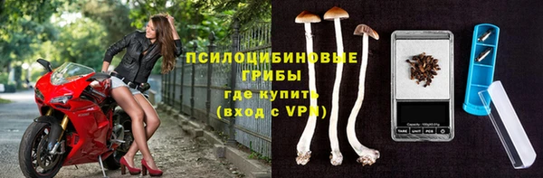 меф Нефтегорск