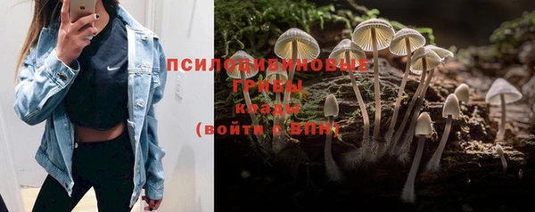 меф Нефтегорск