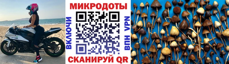 Галлюциногенные грибы Magic Shrooms  Ишим 